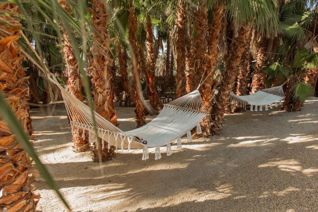 Cien Palmas- Authentic Mexican Casita 3 -Downtown Todos Santos Εξωτερικό φωτογραφία